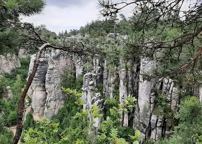 Salicka Bozkov