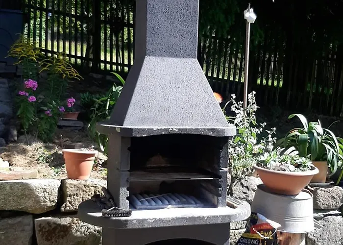 Salicka Bozkov Nyaraló *